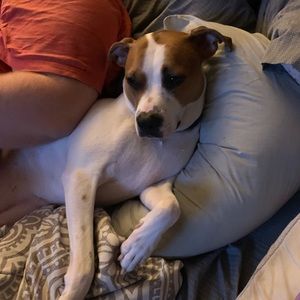 Meet your Posher, Ashlee